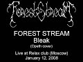 forest stream - bleak (opeth cover)
live at relax club (moscow)
january 12, 2008