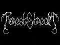 forest stream - bleak (opeth cover)
live at relax club (moscow)
january 12, 2008