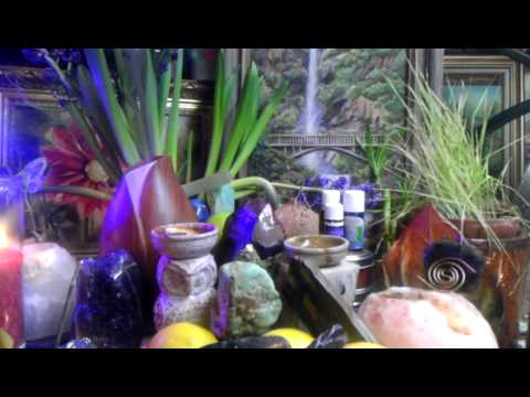 how to grow ilang ilang