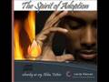 The Spirit of Adoption