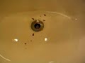 Myth - Counter Clockwise Drain - Brazil