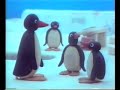 Pingu At School