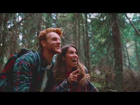 Cursos Youtube Online Euroinnova Cursos Youtube Online Euroinnova