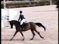 LIFE LIGHT GP CATTOLICA.mpg