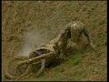 2009 FIM Motocross World Championship - Faenza