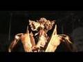 video still