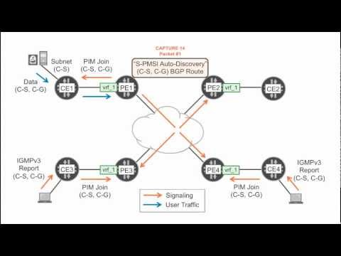 how to troubleshoot bgp in juniper