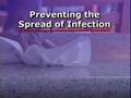 ARCDC-Pandemic-Flu-p