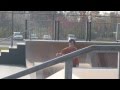 videos de Little Skateboard Pro !