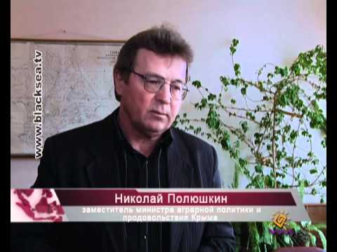 Смотреть видео