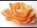 Valentine - original song