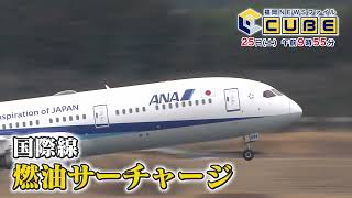 動画のサムネイル