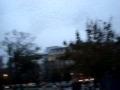 as andurinhas em senigallia