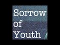 少年維持的煩惱 Sorrow of Youth- 伯明罕 Birmingham