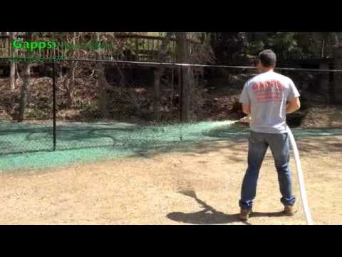 how to transplant lawn grass