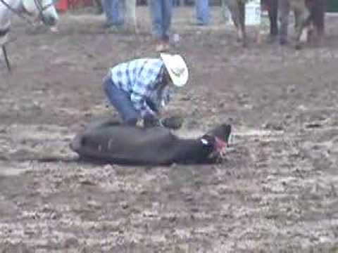 Dodge City Rodeo -- Home of Cruel, Cowardly Idiots