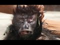 Minimovie: Room 2017 (Trailer) Minimovie: Room 2017 (Trailer)