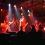 Rotting Corpse "War On Drugs"