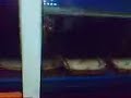 Franciza cu soareci Franciza cu soareci