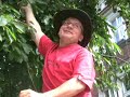 mRRRukot_5: free lunch � la krytyka polityczna