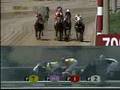 Queen Adama Race Horses