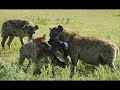 Safari - Tamara, Joselyn, Jon & Julia