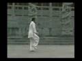 Wu-Hao-style-Taijiqu