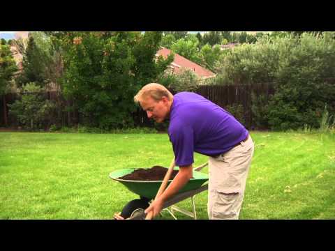 how to transplant grass sod