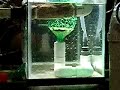 DIY Tilapia Egg tumbler part 1