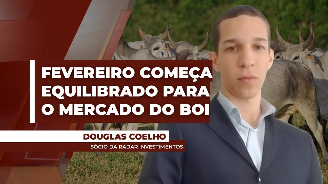 Fevereiro começa equilibrado para o mercado do boi, segundo especialista