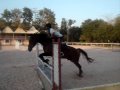 me doing horse jumping with latansa and anee in horse shoe point