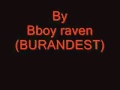 raven 41 handhop