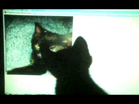 Watch this Video