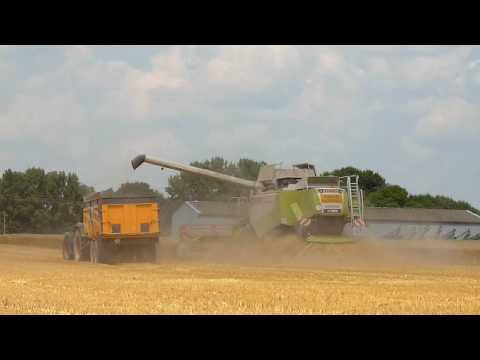 Barley Harvest 2009 with Claas Lexion 570 C and two Fendt
