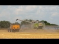 Barley Harvest 2009 with Claas Lexion 570 C and two Fendt