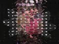 the story of echo and narcissus as told through art. 

link to the myth here:

http://lrs.ed.uiuc.edu/students/mmarassa/mythology/echo.html



music: 