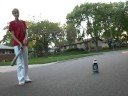 alex and codys new hobby