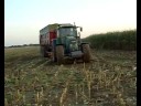 ensilage ac Herens ensilage ac Herens