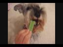 [Video]
