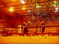 The Heart of a Champion