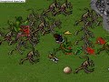Botter on Softcores