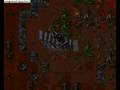 Botter on Softcores