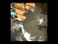 Reproducing Venus de Milo
