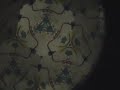 Kaleidoscope Kaleidoscope