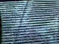Claire Guerin collaborates with noise artist Paul Hegarty (SAFE) for a video installation in an exhibition East Tokyo called 'Art Plant'. Guerin filmed footage from the surrounding forest and destroyed the image live in a performance using a similar process to Hegarty sound creation process. The piece was influenced by Japans post apocalyptic culture.