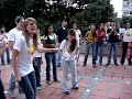 (2) Juego de Animales. Voluntarios de FRS