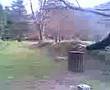 Chaffinch Snot