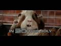  - MovieZen Video