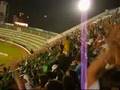 videos de Torcida Guarani Futebol Clube