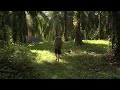#GOBACKPACK | Max Münch in Costa Rica - Jungle | JACK WOLFSKIN - Jack Wolfskin video